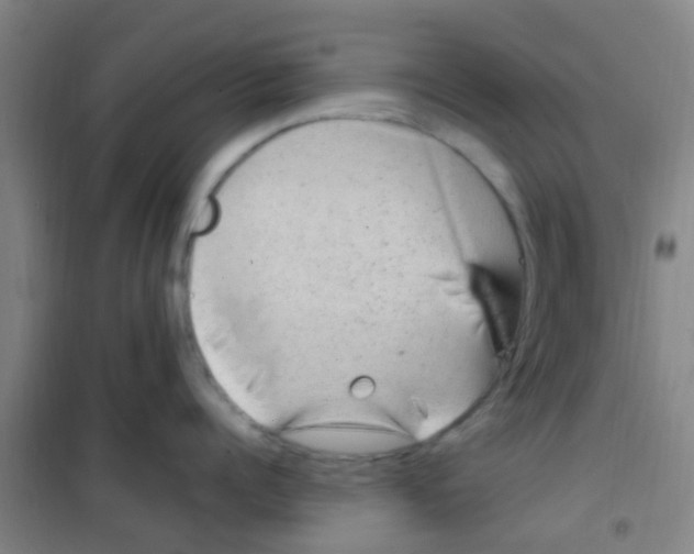 X0000100420960200807032058