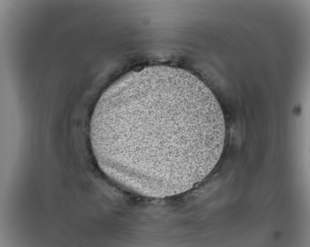 X0000100420961200807032057