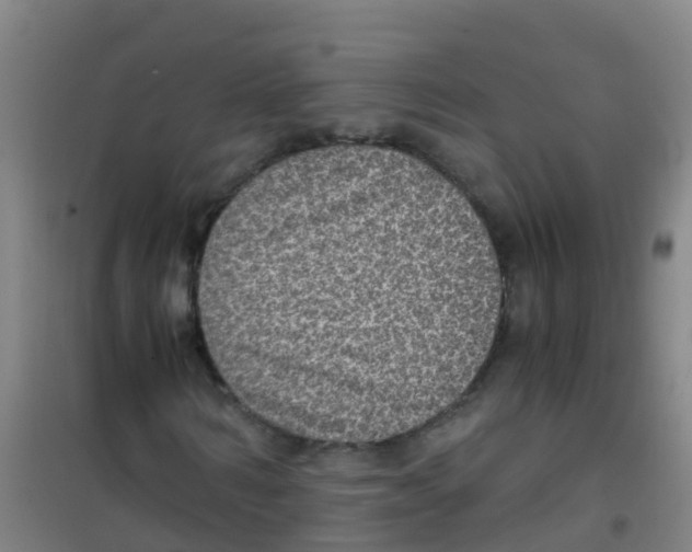 X0000100420962200807032057