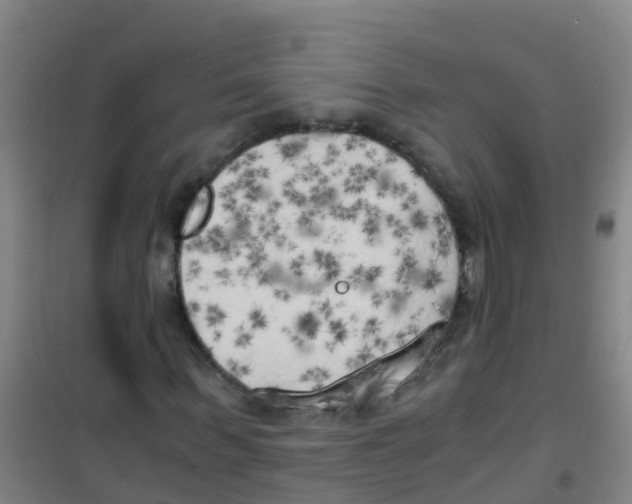 X0000100420963200807032057