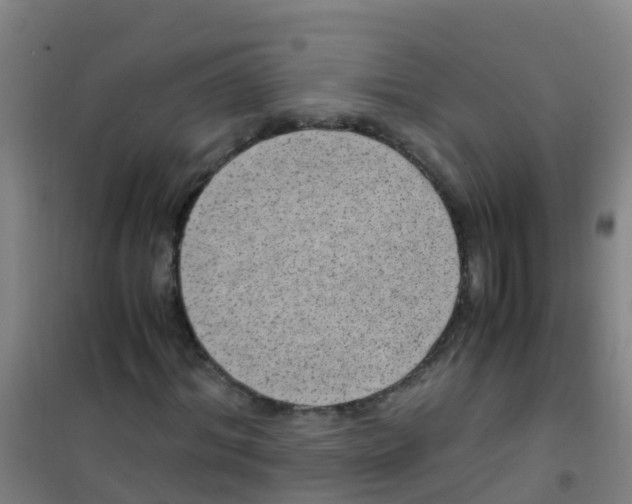 X0000100420964200807032057