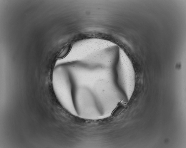 X0000100420965200807032057