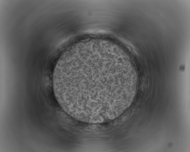 X0000100420966200807032057