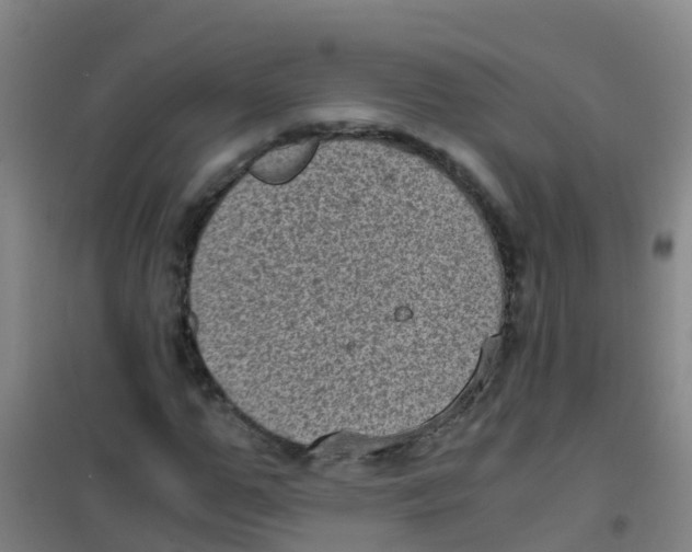 X0000100420967200807032057