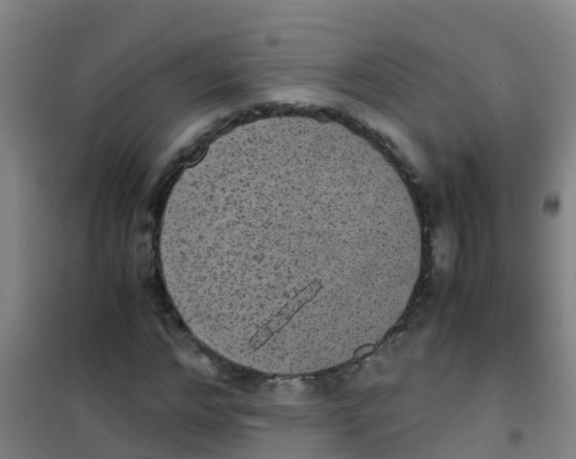 X0000100420968200807032057