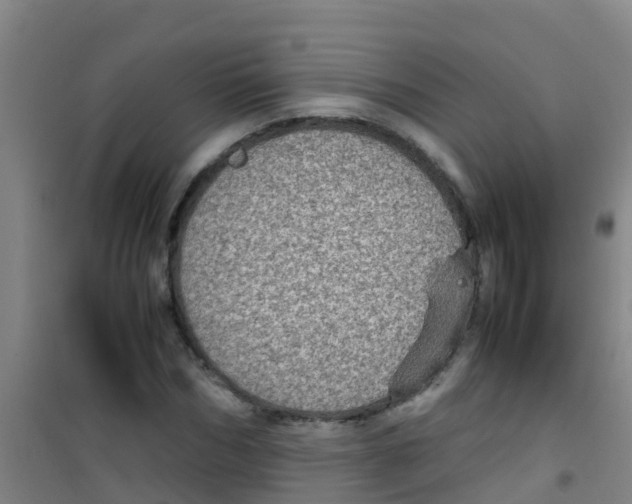 X0000100420970200807032057