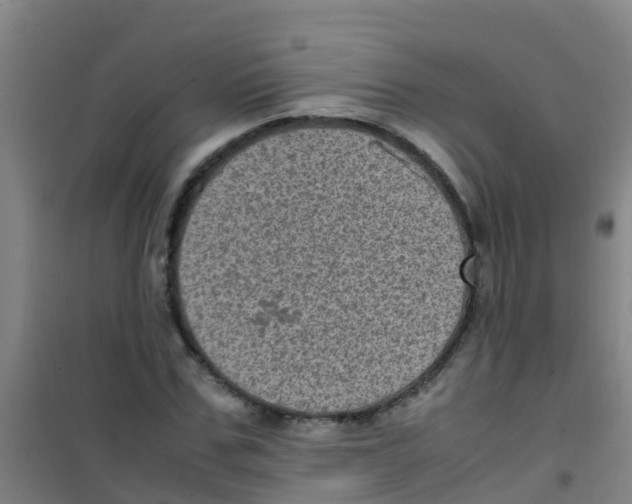 X0000100420971200807032057