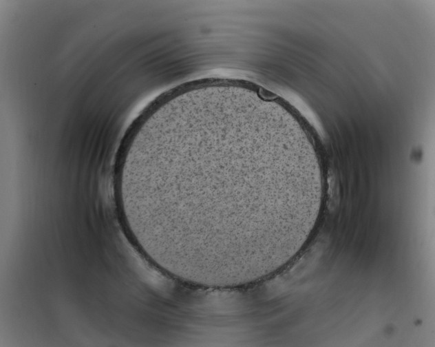 X0000100420972200807032057