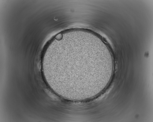 X0000100420973200807032057