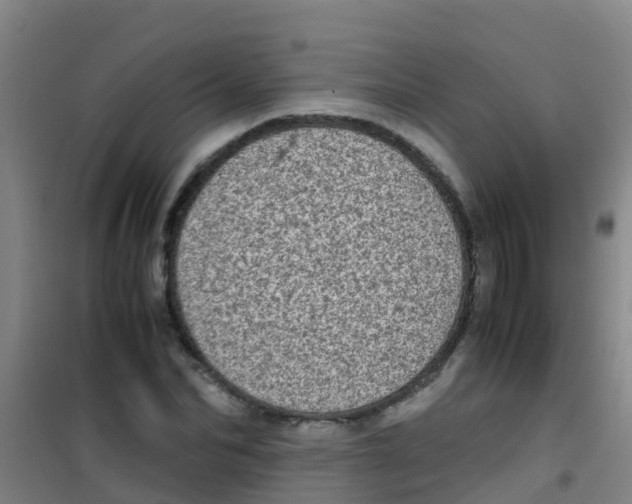 X0000100420974200807032057