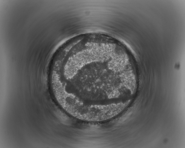 X0000100420975200807032057