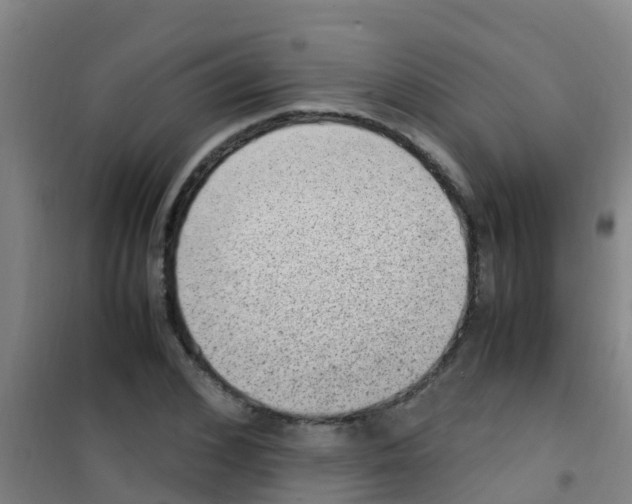 X0000100420976200807032057