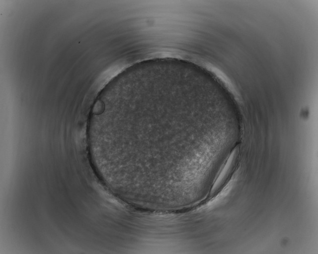 X0000100420977200807032057