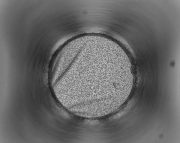 X0000100420978200807032057