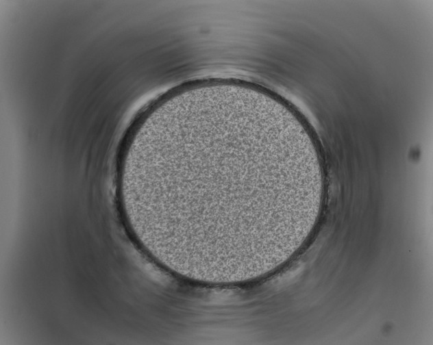 X0000100420979200807032057