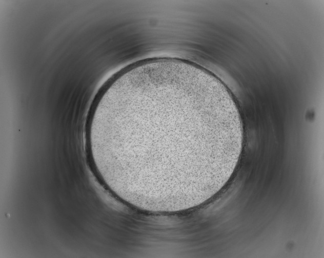 X0000100420980200807032057