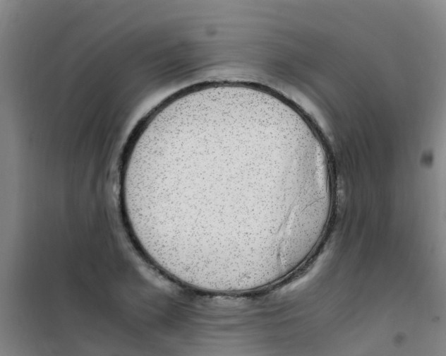 X0000100420981200807032057