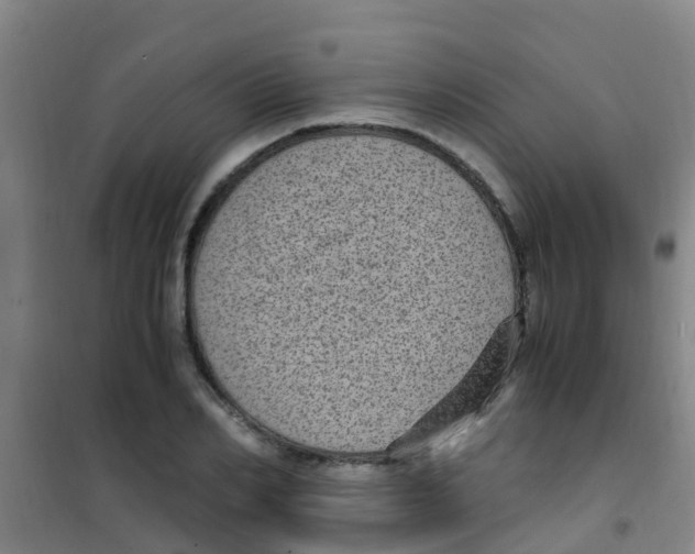 X0000100420982200807032057