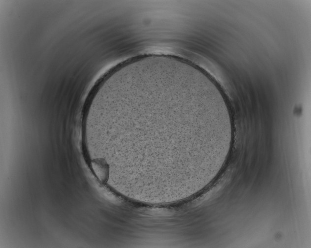 X0000100420984200807032057