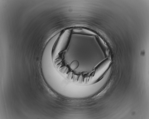 X0000100420985200807032057