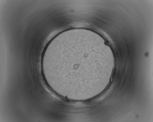 X0000100420986200807032057