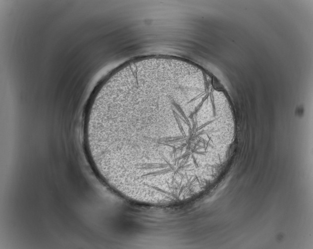 X0000100420987200807032057