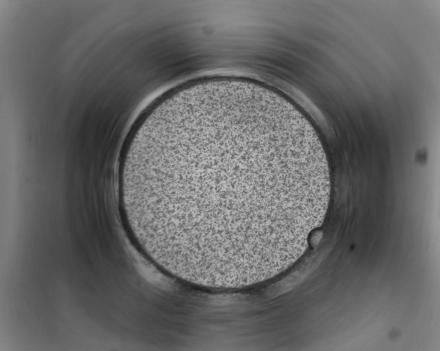 X0000100420988200807032057