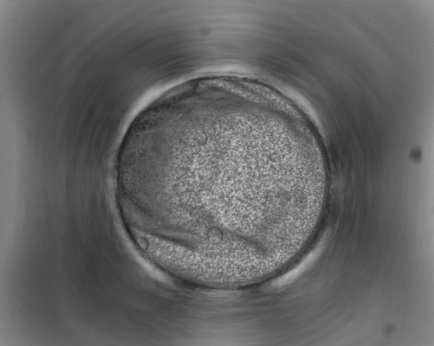 X0000100420989200807032057