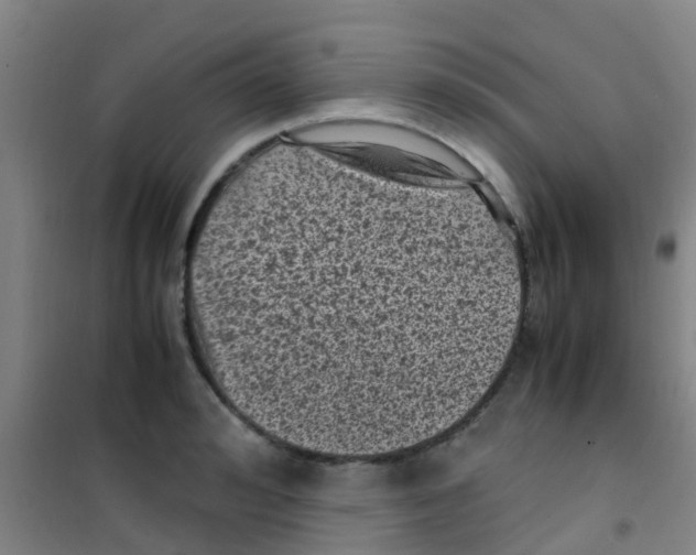 X0000100420992200807032057