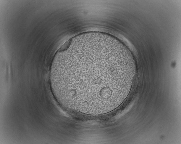 X0000100420993200807032057