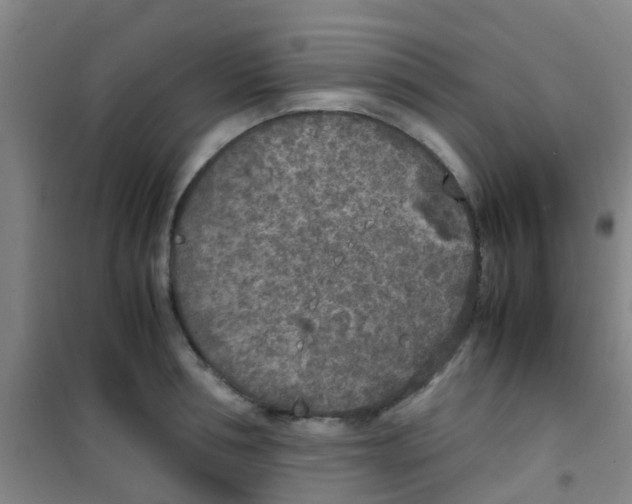 X0000100420994200807032057