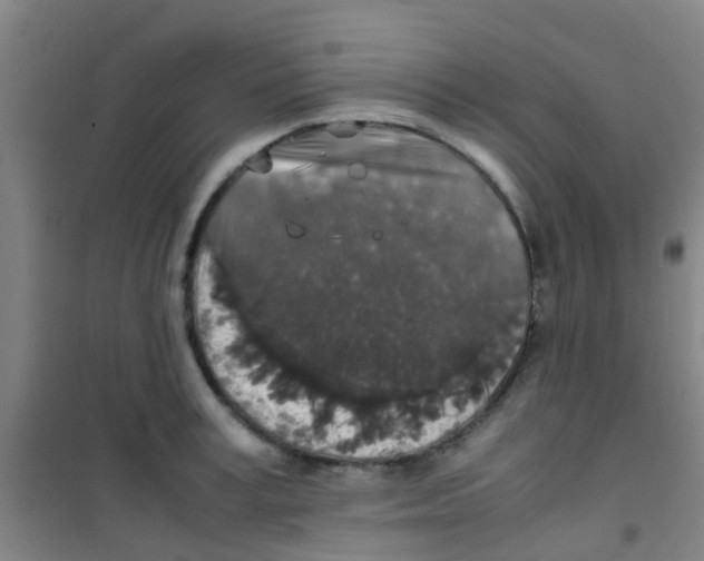 X0000100420995200807032057