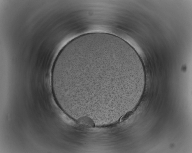 X0000100420996200807032057