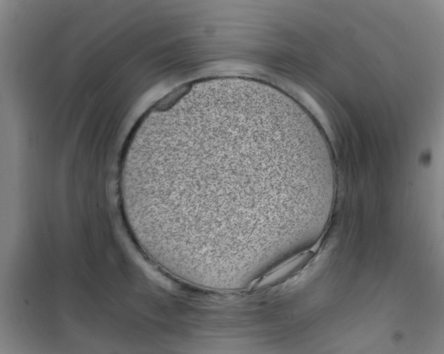 X0000100420997200807032057