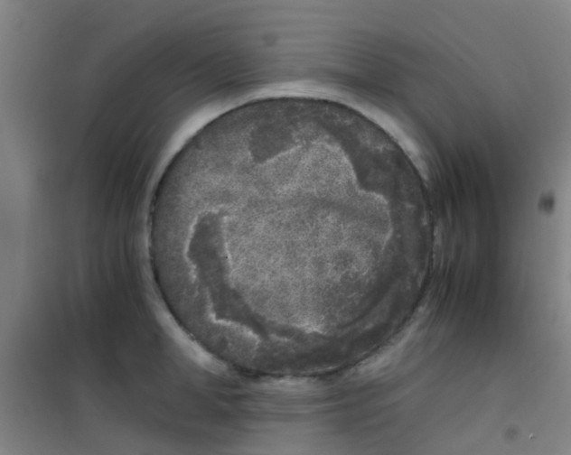 X0000100420998200807032057