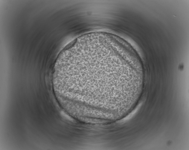 X0000100421001200807032057