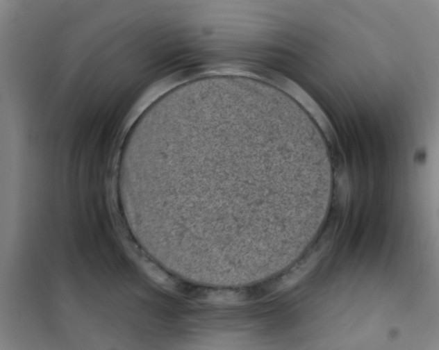 X0000100421002200807032057