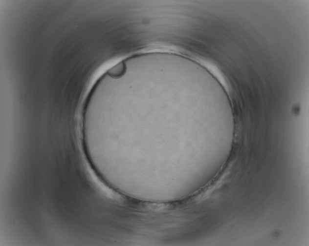 X0000100421003200807032057