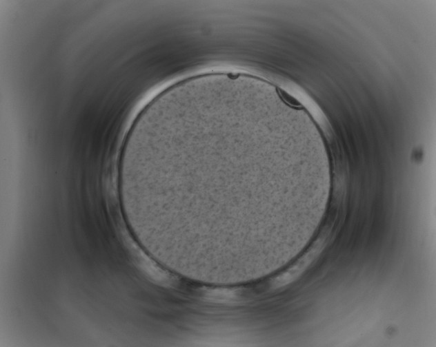 X0000100421004200807032057