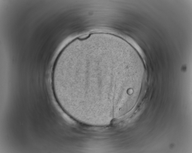 X0000100421005200807032057