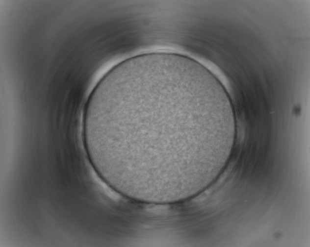 X0000100421006200807032057