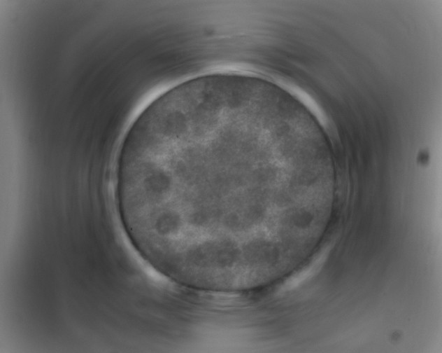 X0000100421007200807032057