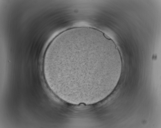 X0000100421008200807032057