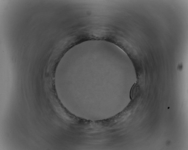 X0000100421009200807032056