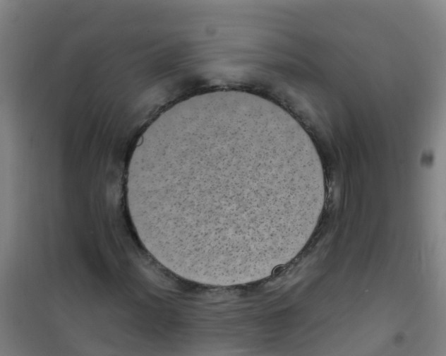 X0000100421012200807032056