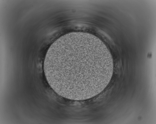 X0000100421013200807032056