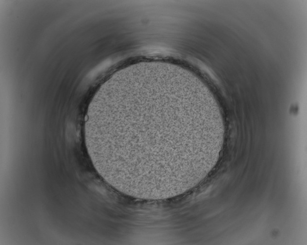 X0000100421016200807032056