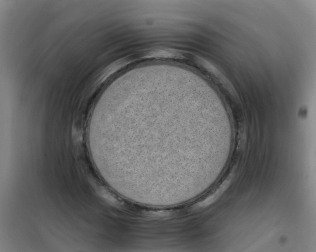 X0000100421017200807032056