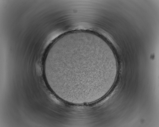 X0000100421018200807032056