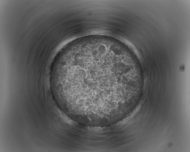 X0000100421019200807032056